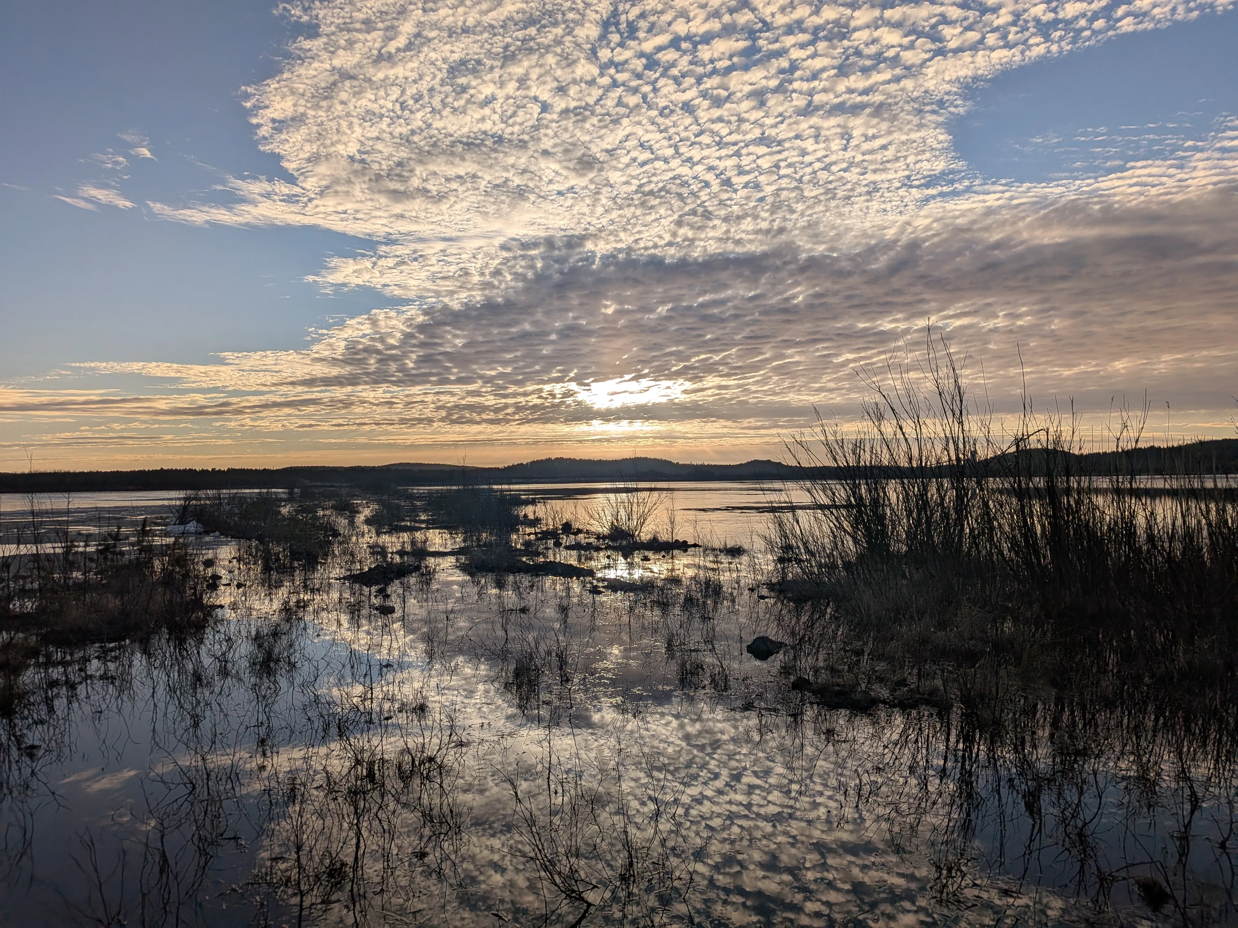 Morgonsol över Gillervattnet