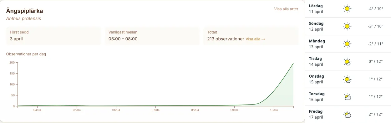 Statistik över antal registreringar av ängspiplärkor & väderprognos för kommande 7 dagar